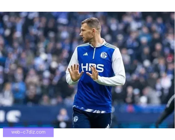 哲科接班沙尔克10号体检在即