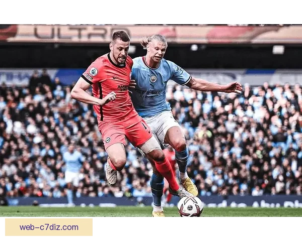 乌龙王领跑阿森纳队史射手榜纪录