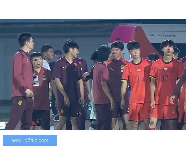 中国队双胜亚洲冠军首进世界杯